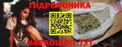 СК Кандалакша