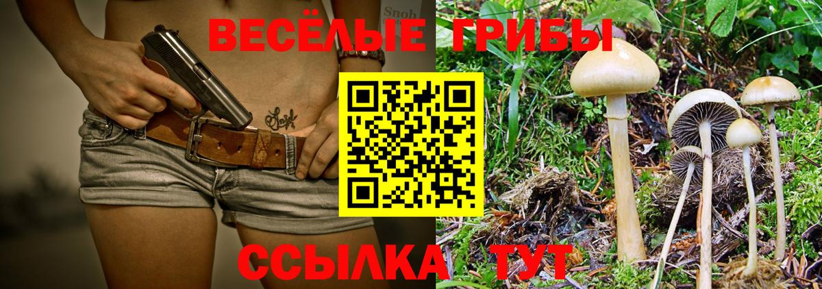 Псилоцибиновые грибы Psilocybine cubensis Якутск