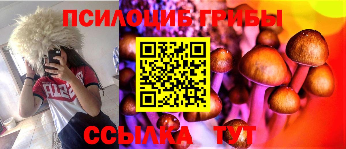 Якутск  Галлюциногенные грибы Psilocybine cubensis  Псилоцибиновые грибы ЛСД  Вход с VPN 